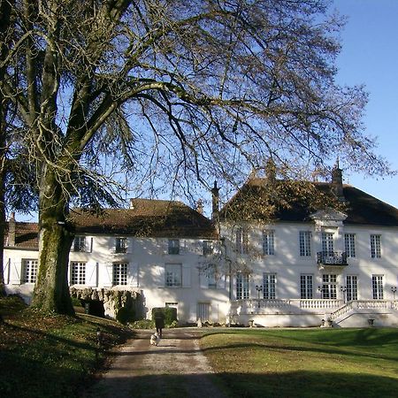 Le Chateau De Prauthoy エクステリア 写真