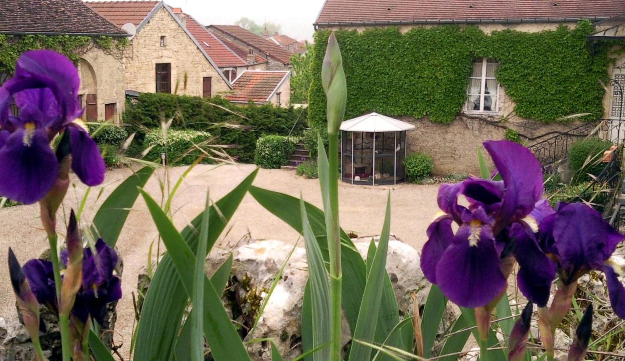 Le Chateau De Prauthoy エクステリア 写真