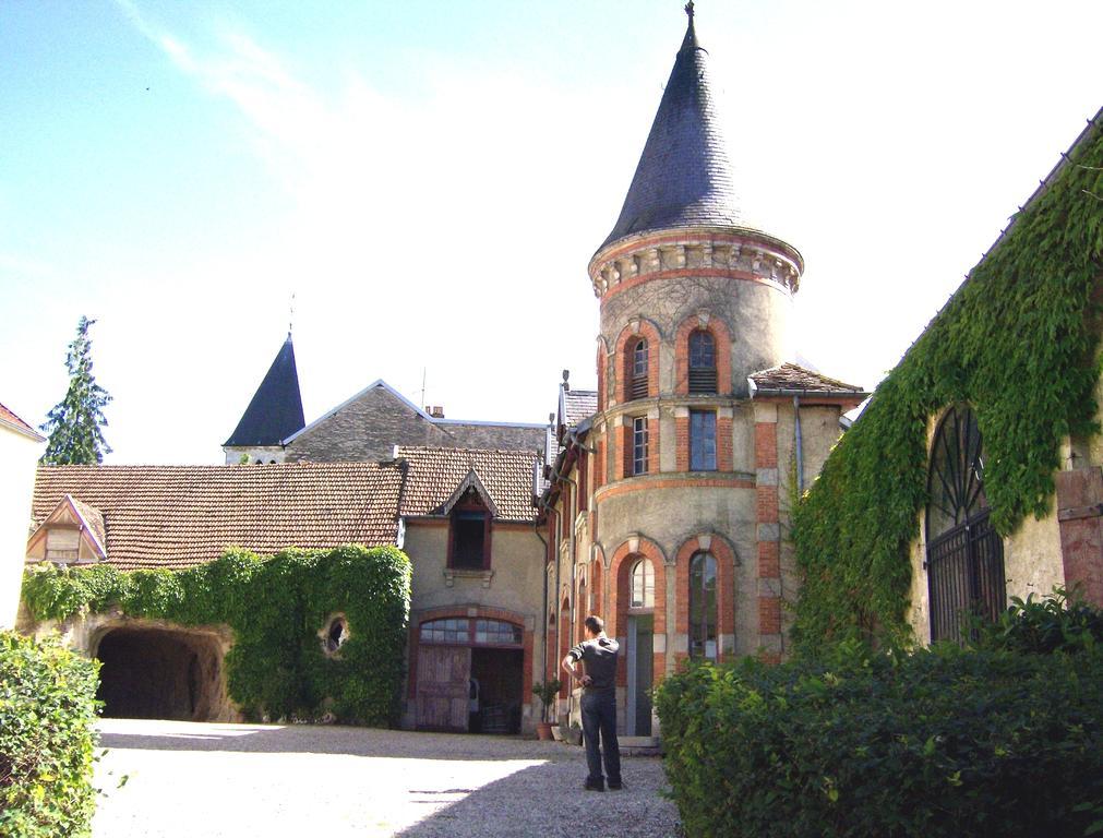 Le Chateau De Prauthoy エクステリア 写真
